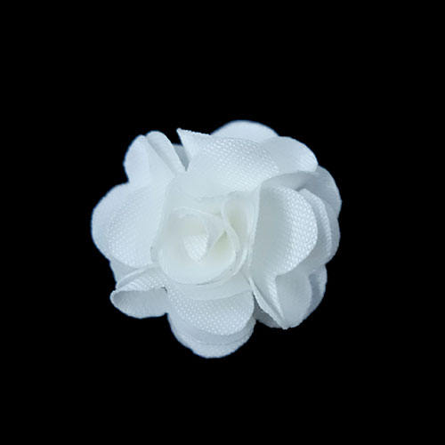 simple flower in white