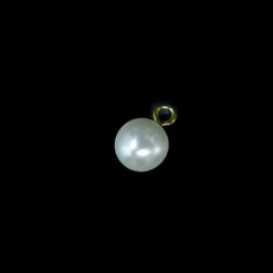 pearl button with gold hook